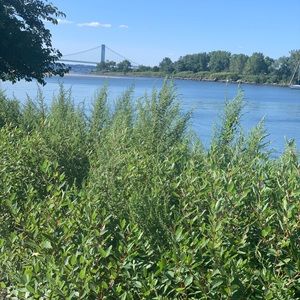 Meet your Posher, Roslyn